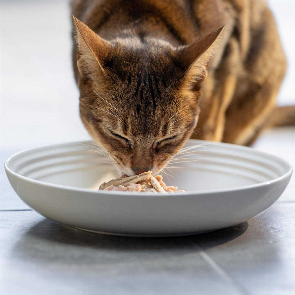 Natural Wet Cat Food Fish Variety Pack in Broth W96327